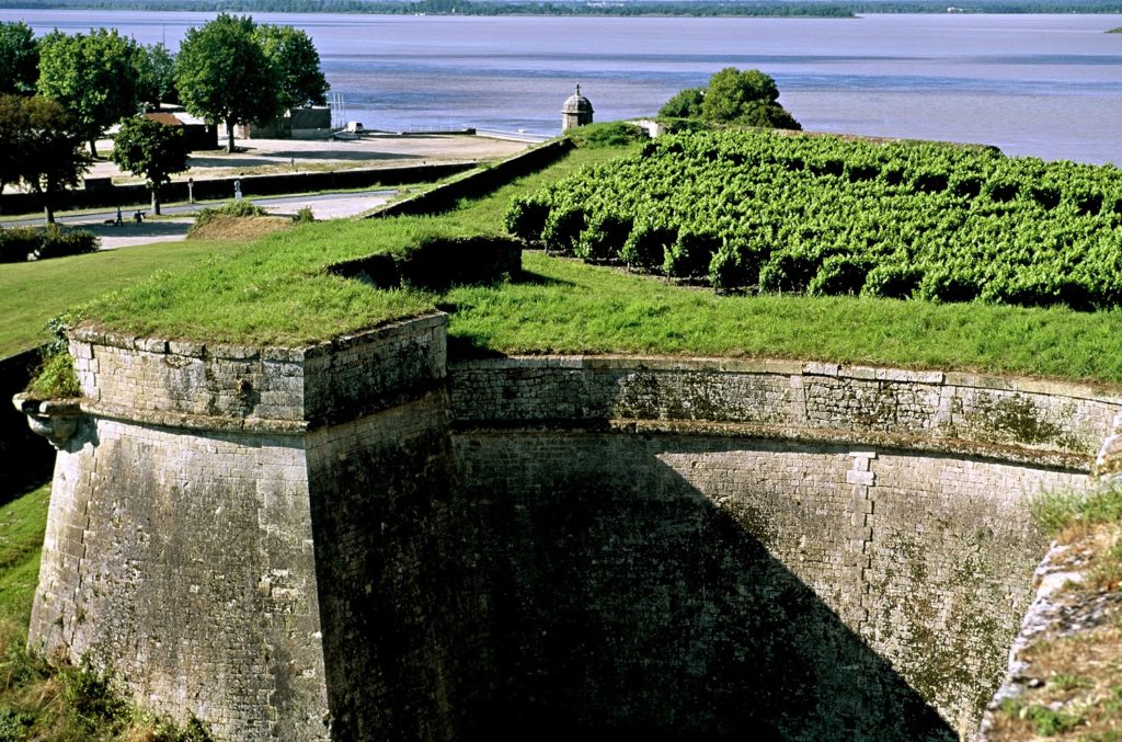 Vignoble de la Citadelle de Blaye