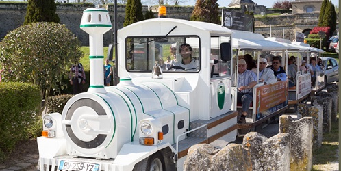 Petit-train-printemps-desvins-de-blaye