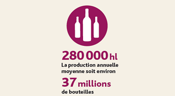 infographie-Blaye-Cotes-de-Bordeaux-production