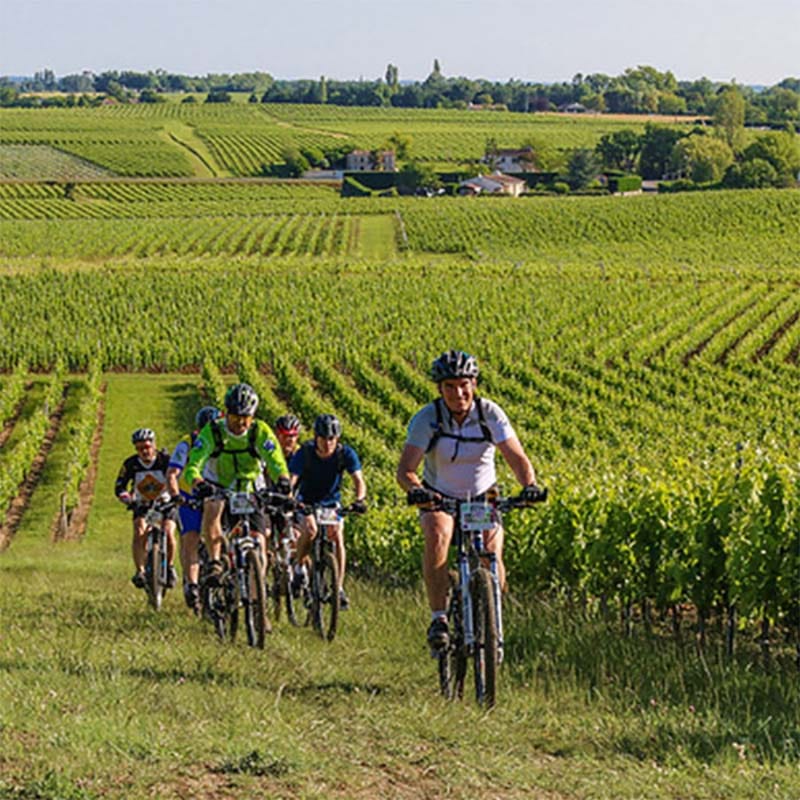 Les rendez-vous immanquables de 2019 avec nos vignerons !