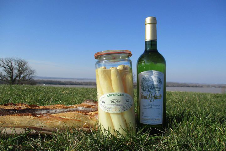 Asperges du blayais et vin de blaye côtes de bordeaux : un assemblage parfait