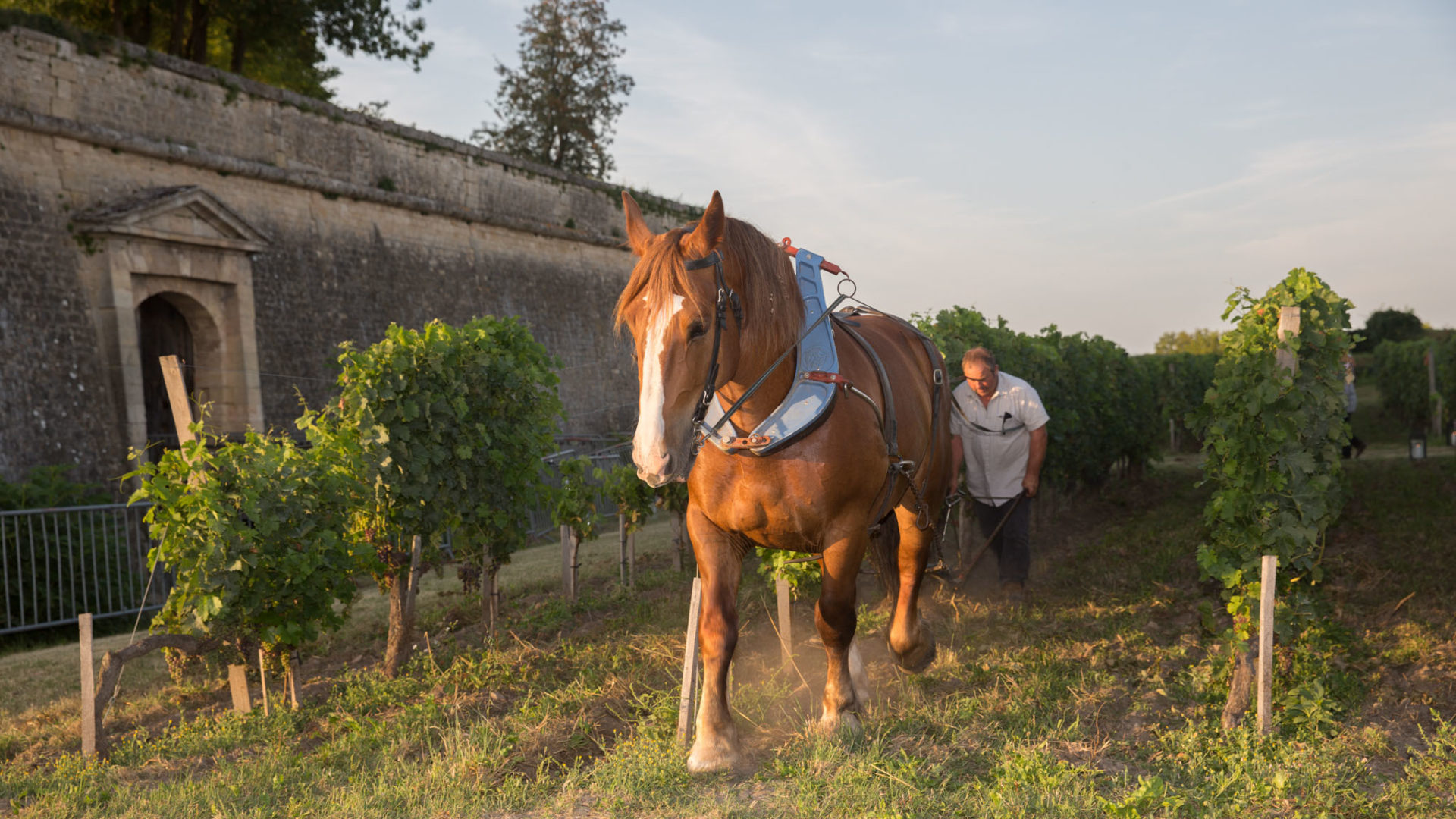 Le Clos de L’Echauguette