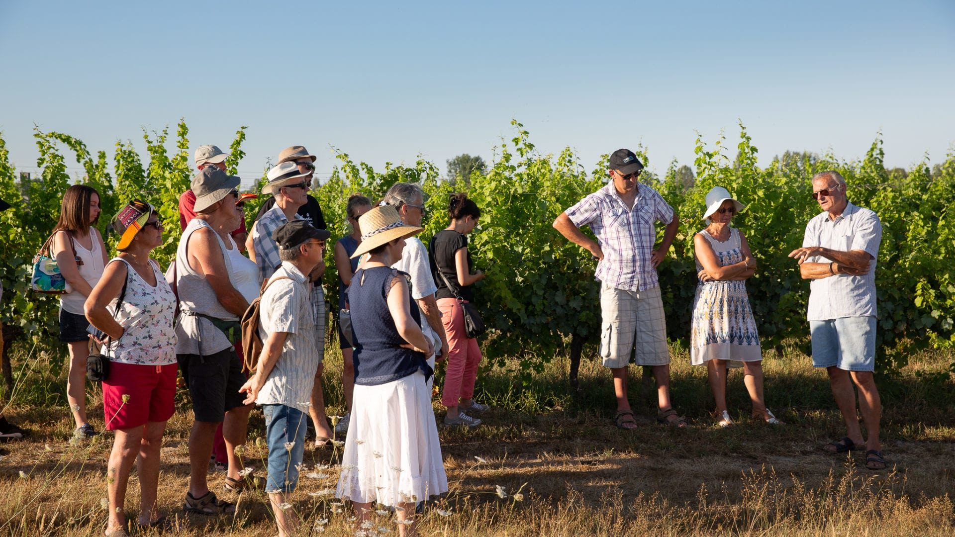 Vinobalades : dîner chez le vigneron