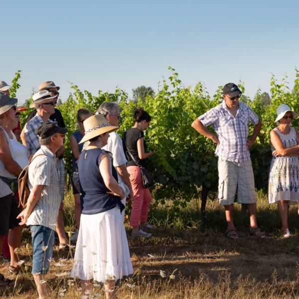 Vinobalades : dîner chez le vigneron