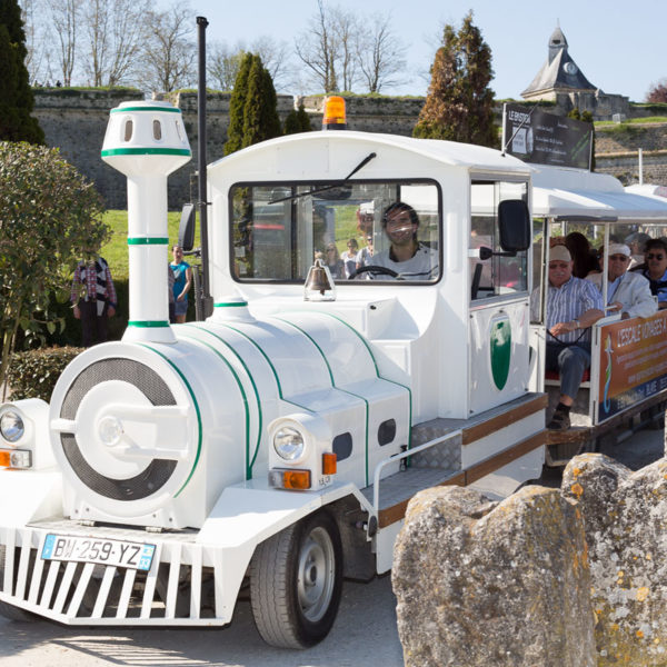 Balade en petit train dans le vignoble
