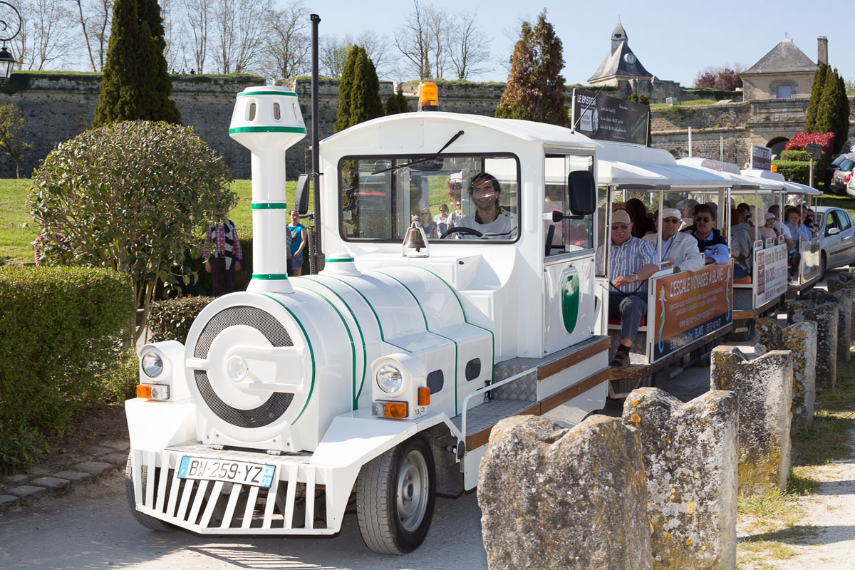 Balades en petit train