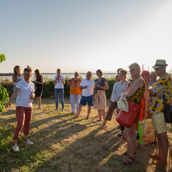Visite commentée du Clos de l’Echauguette