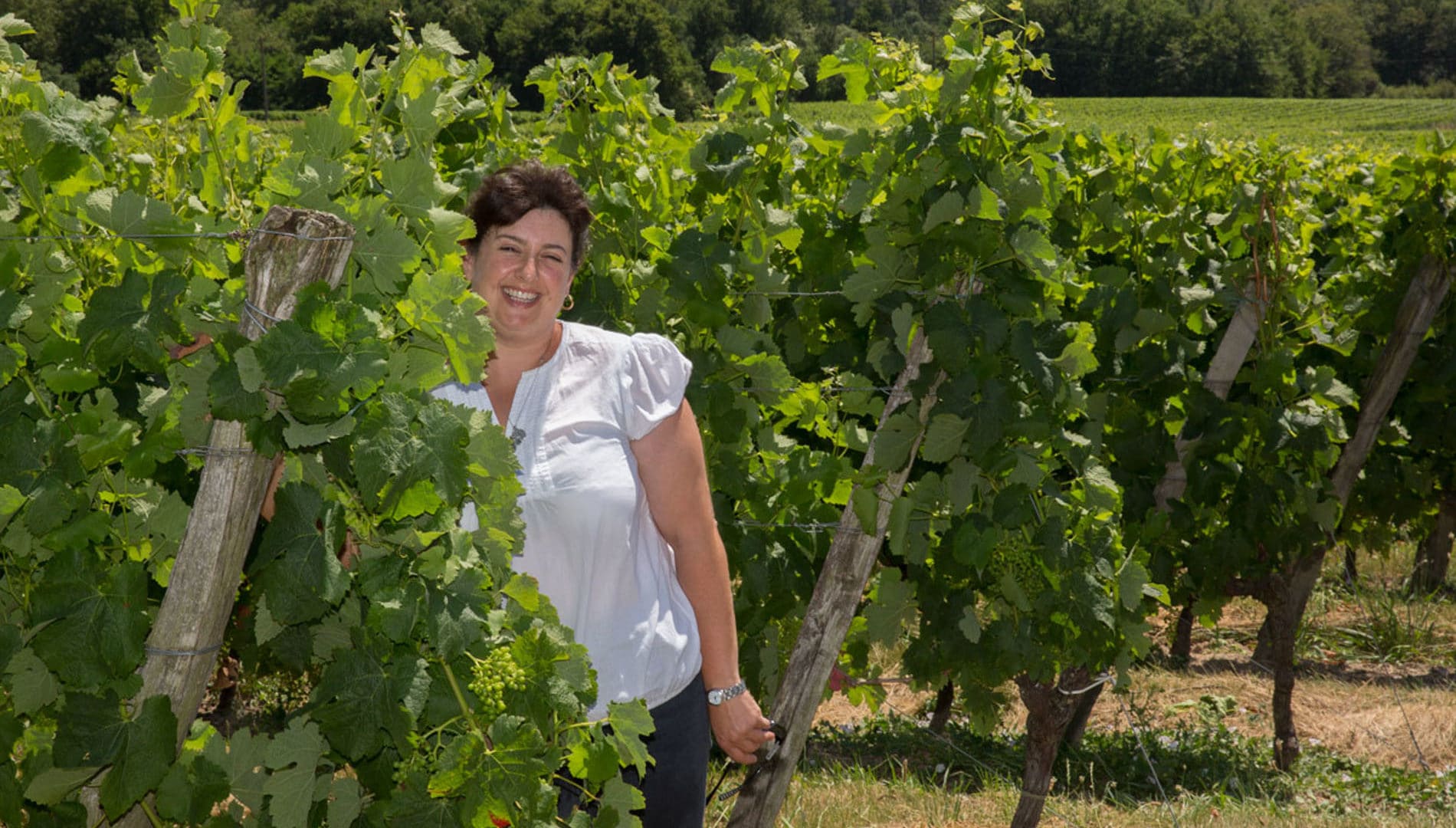 Rencontre dégustation – Château La Martellerie