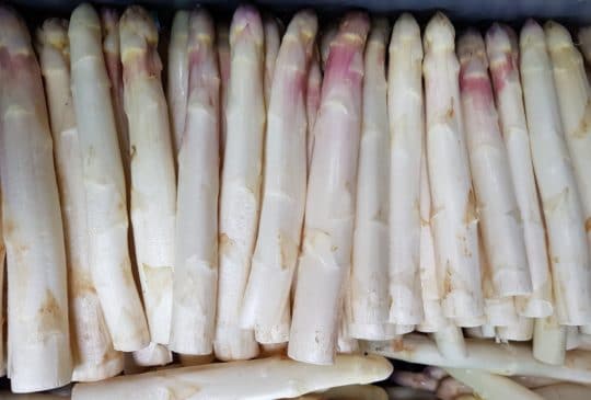 Fête de l’Asperge 2025