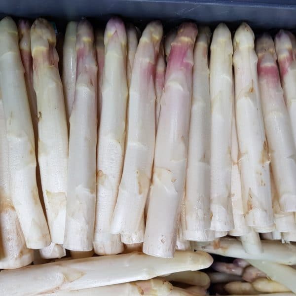 Fête de l’Asperge 2025