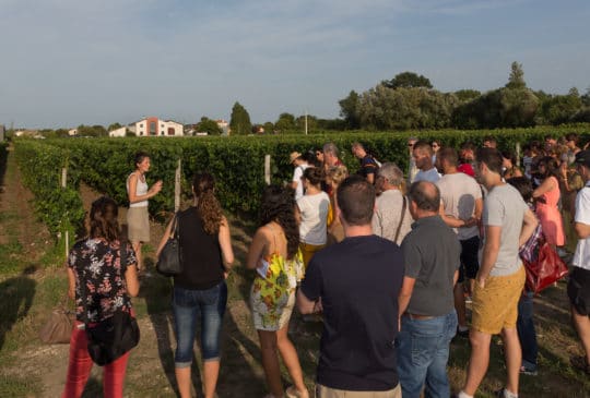 Festibalade au Château Haut Bourcier – Complet