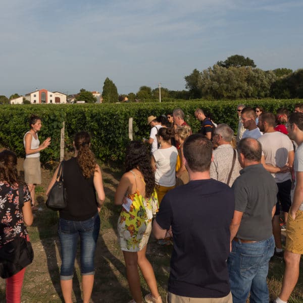 Festibalade au Château Haut Bourcier