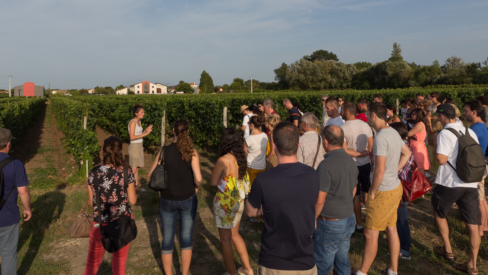 Cet été, partez à la rencontre des vignerons de Blaye Côtes de Bordeaux !