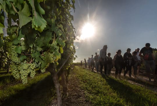 Festibalade au Château Dubraud