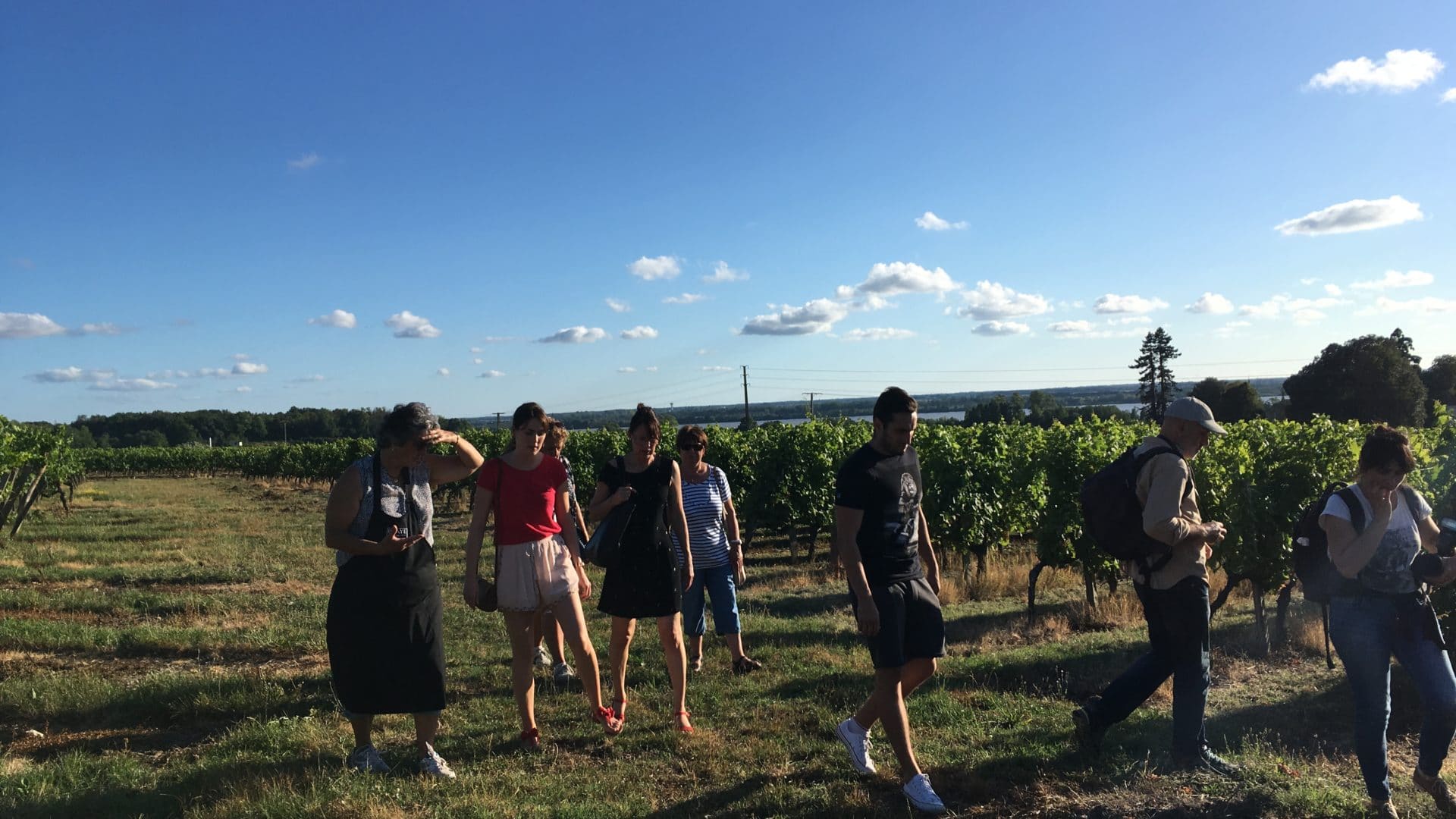 Festibalade au Clos de Castets – Vignobles Roy – Complet