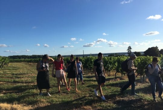 Festibalade au Clos de Castets – Vignobles Roy – Complet