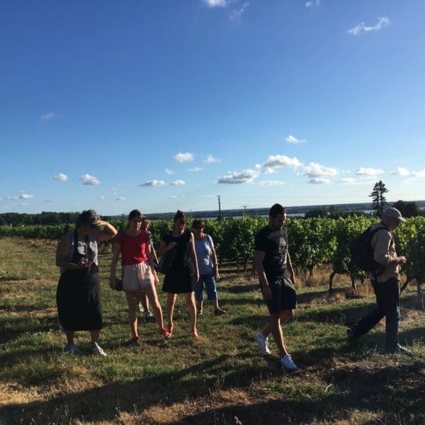 Festibalade au Clos de Castets – Vignobles Roy