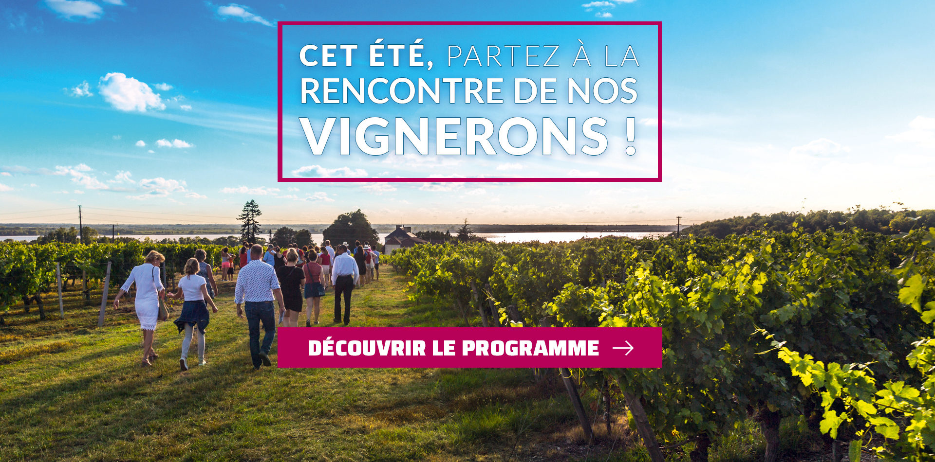 Vignoble de blaye
