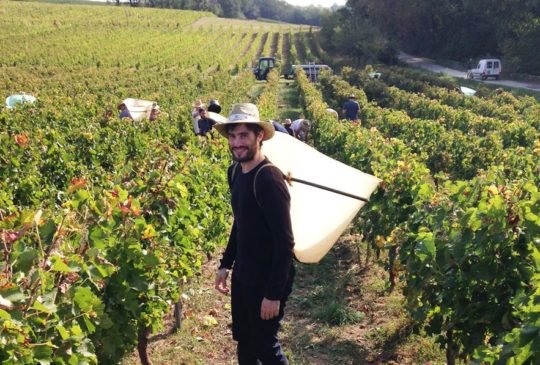 Journée Initiation Vendanges au Château Monconseil-Gazin