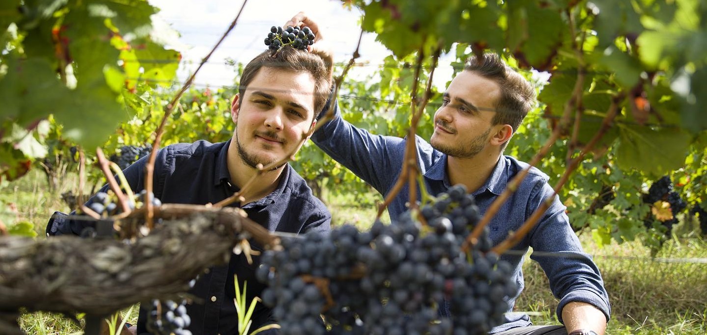 Jeunes vignerons : la relève est assurée !