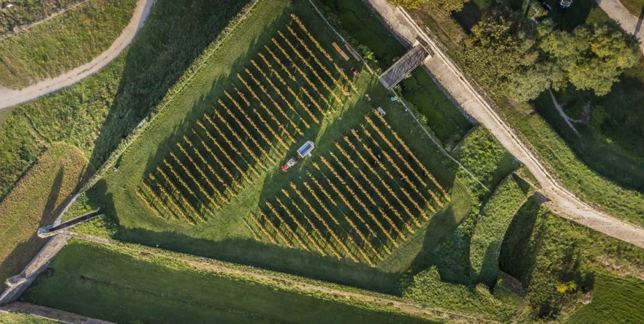 Le Clos de l’Echauguette