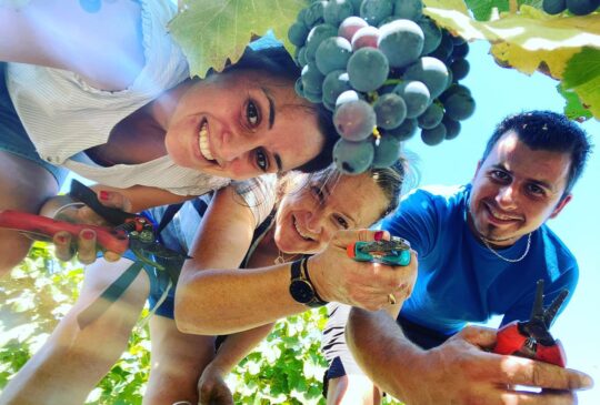 Vinobalade : dînez chez le vigneron au Château Haut Bourcier – Complet