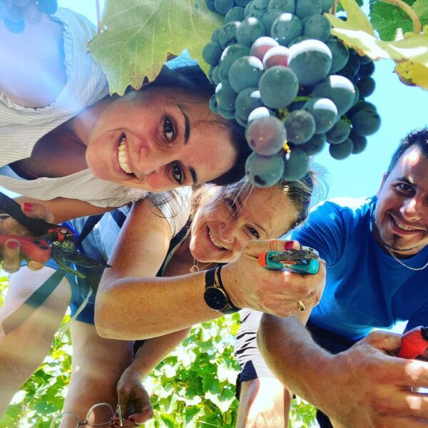 Vinobalade : dînez chez le vigneron au Château Haut Bourcier