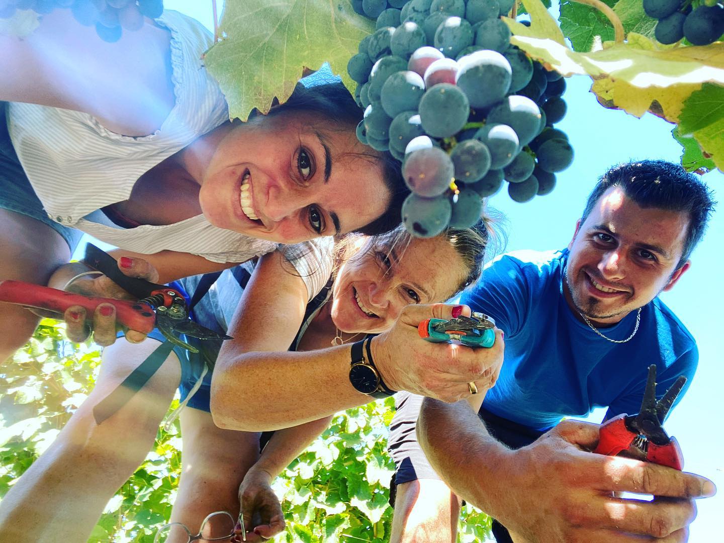 Vinobalade : dînez chez le vigneron au Château Haut Bourcier