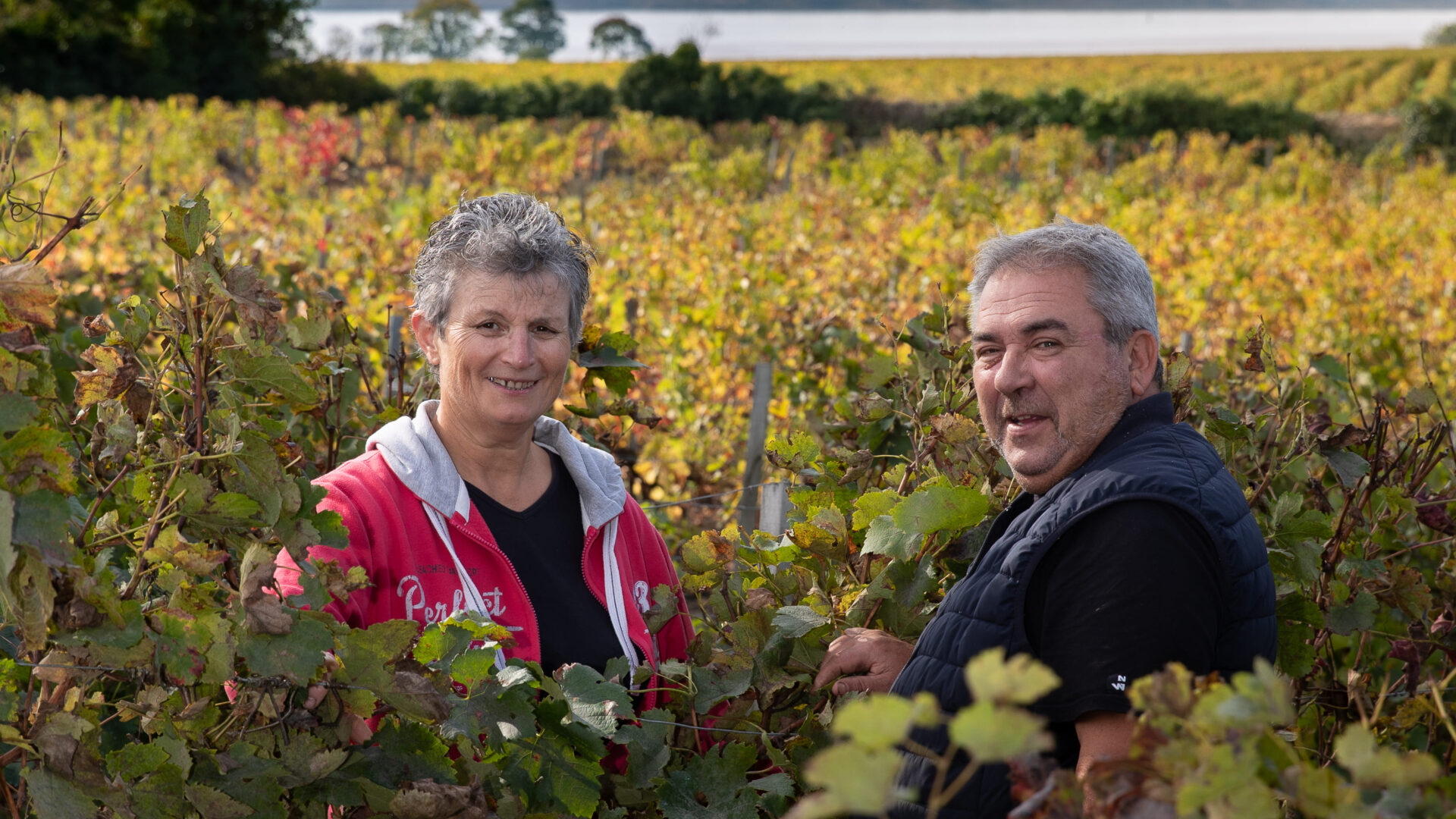 Vinobalade : dînez chez le vigneron au Clos de Castets