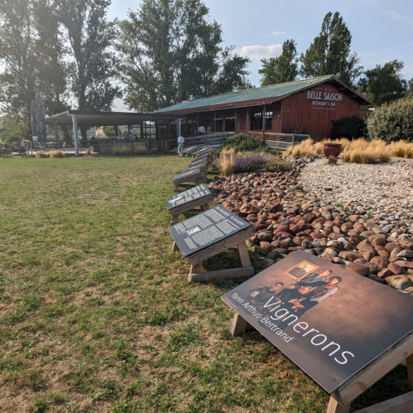 Exposition « Vignerons » et afterworks à La Belle Saison