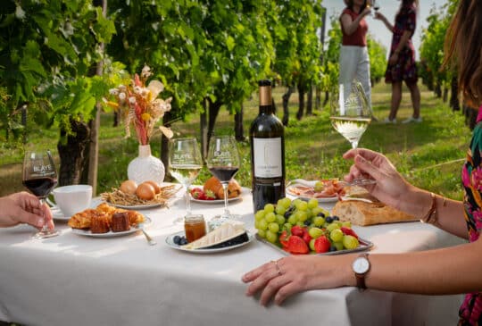 Wine & Brunch au Château La Levrette