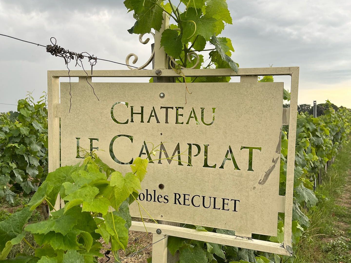 Casse-croûte vigneron